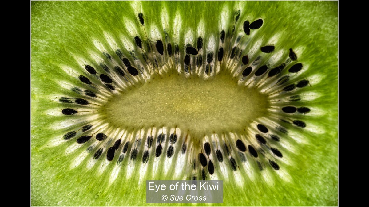 Eye of the Kiwi